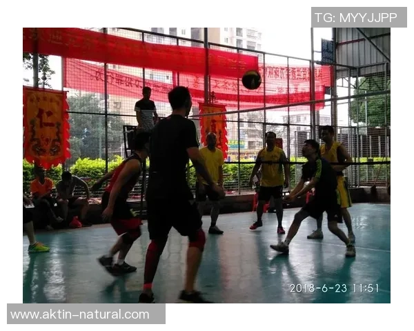 排球力量排行榜：南京排球队位居第6名