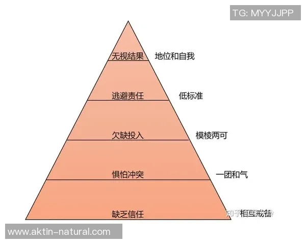 成都篮球队防反体系解析：高效战术与团队协作的完美结合
