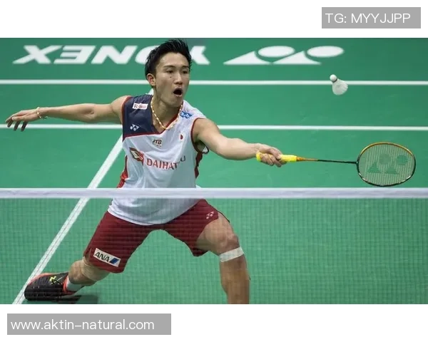 杭州网球队以92分领跑世锦赛积分榜展现强大实力