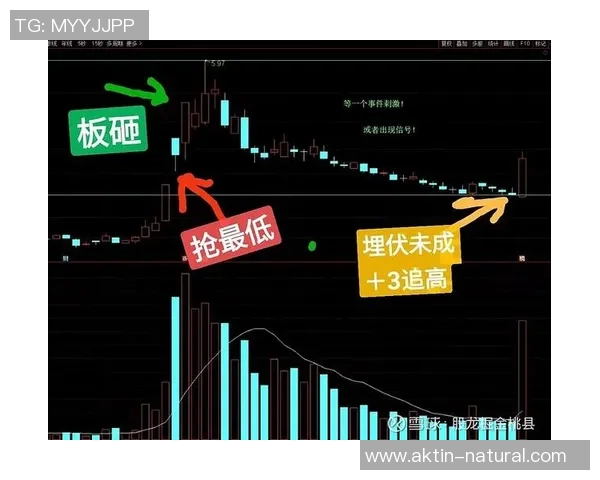 武汉乒乓球队与北京乒乓球队赛后复盘分析比赛节奏与战术对比