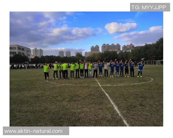 足球江湖动画片全集回顾与精彩剧情分析带你领略足球的魅力与友谊的力量