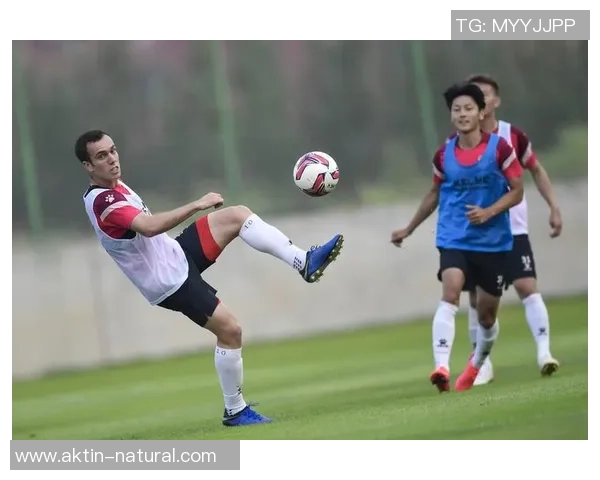 足球雠艿的魅力与挑战探索足球文化的深厚底蕴与未来发展方向